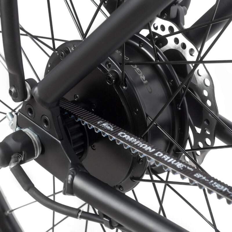 Belt drive hot sale fat bike