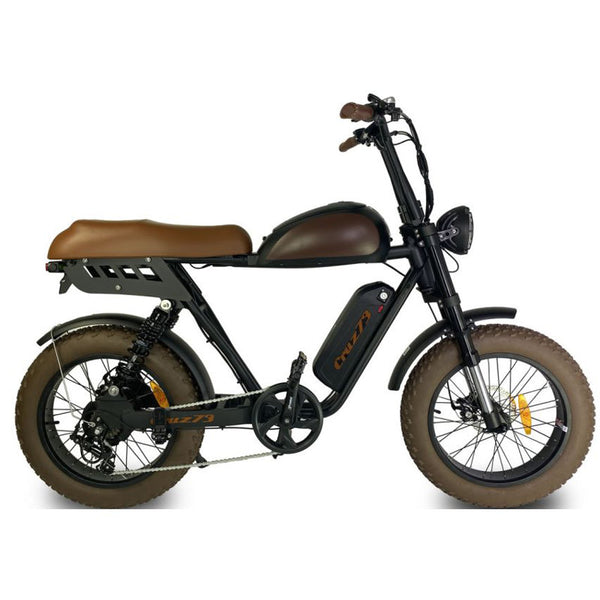 Vintage electric 2025 bikes cruz