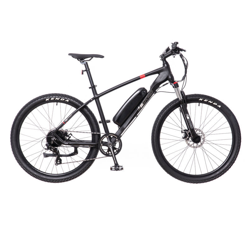 Lectro discount fat bike