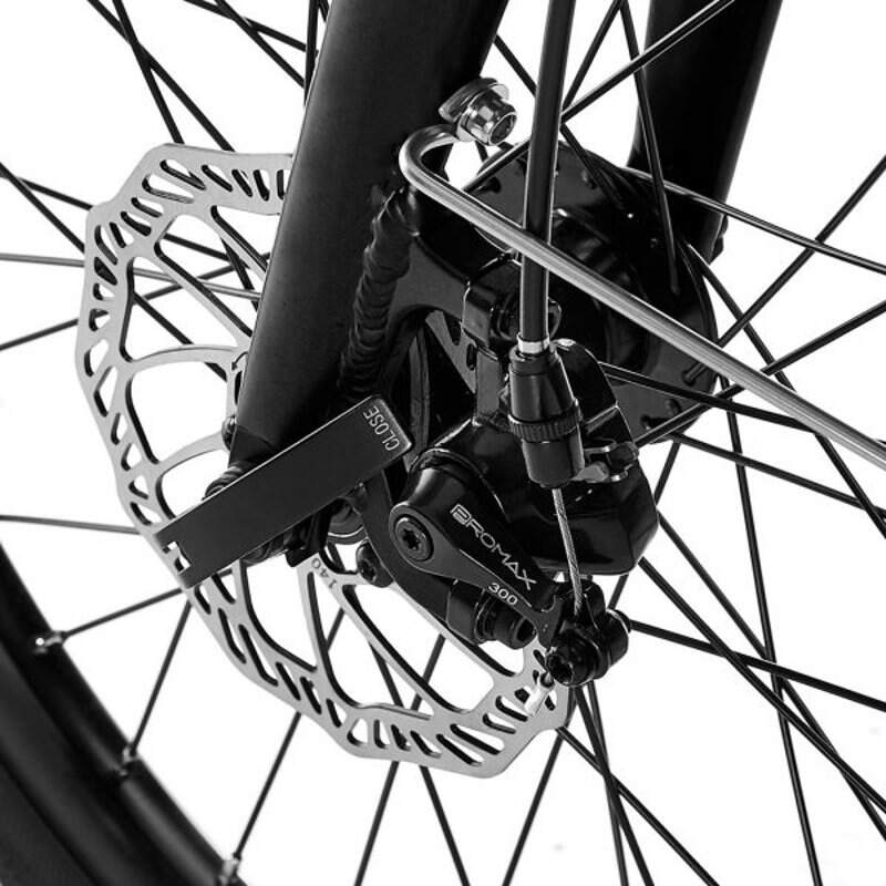 Ezego Fold - Folding Electric Bike - 250W Teal - AmpTrek