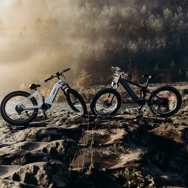 Himiway Zebra - Premium All Terrain Long Range Fat Tyre Electric Bike - 250W Black - AmpTrek