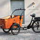 Amcargobikes Ultimate Harmony Tadpole Cargo Electric Tricycle - AmpTrek