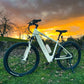 E-Movement Thor - Lightweight Hardtail Electric Mountain Bike - 350W - AmpTrek