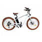 Gorille Cruiser - Cross Bar Electric Bike - Fat Tyres - 250W - AmpTrek